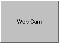 Can be slow with advertisements!